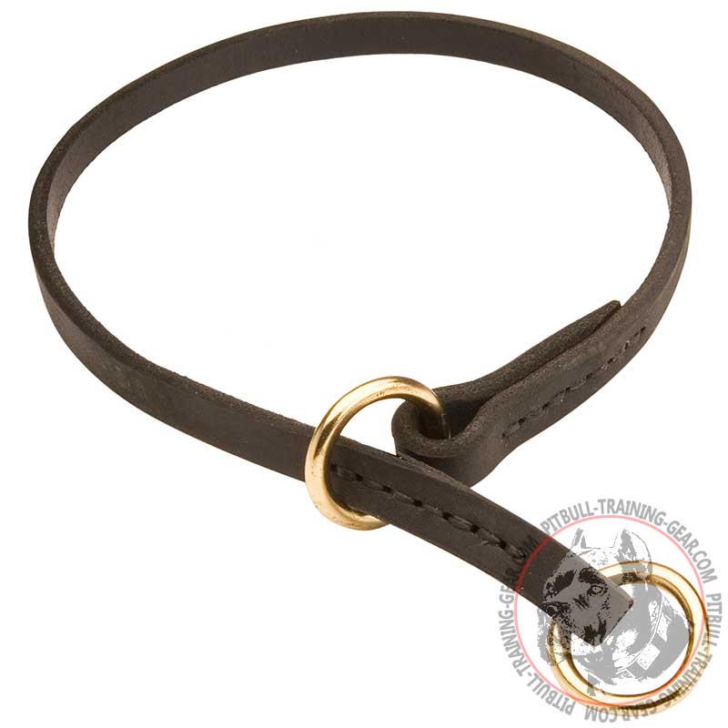 Silent Leather Training Choke Pitbull Collar