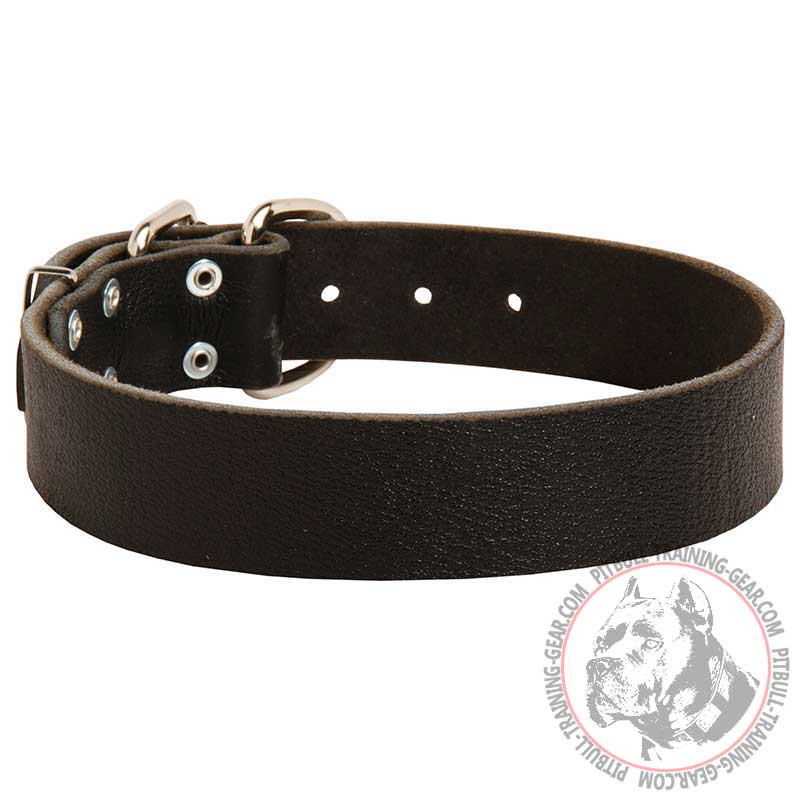 Classic Wide Leather Dog Collar for Pit Bull