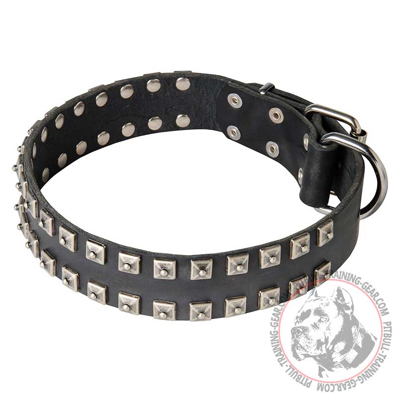 Multifunctional Leather Pitbull Collar with studs