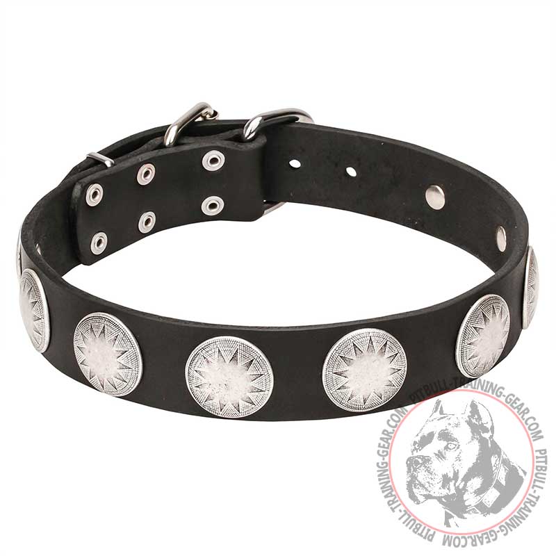 "Maya Indians" Pit Bull Wide Leather Dog Collar with Chrome Plated Circles - 1 1/2 inch (40 mm) wide - Click Image to Close