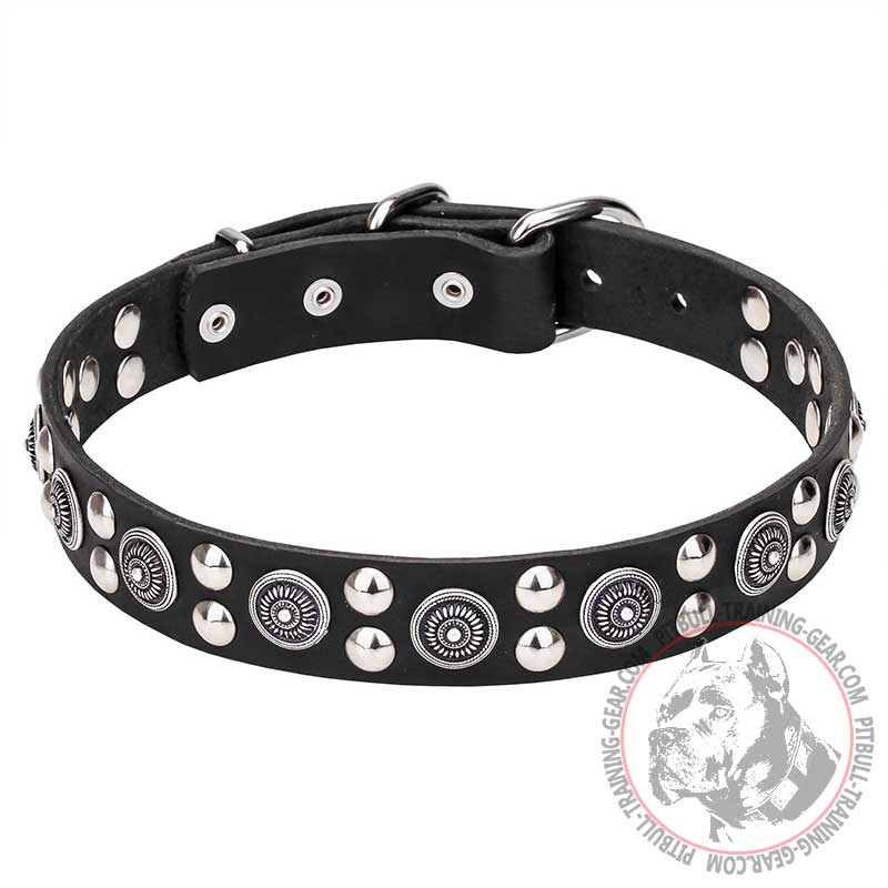 "Galactic Style" Pit Bull Dog Collar Decorated - 1 1/4 inch (30 mm) wide - Click Image to Close
