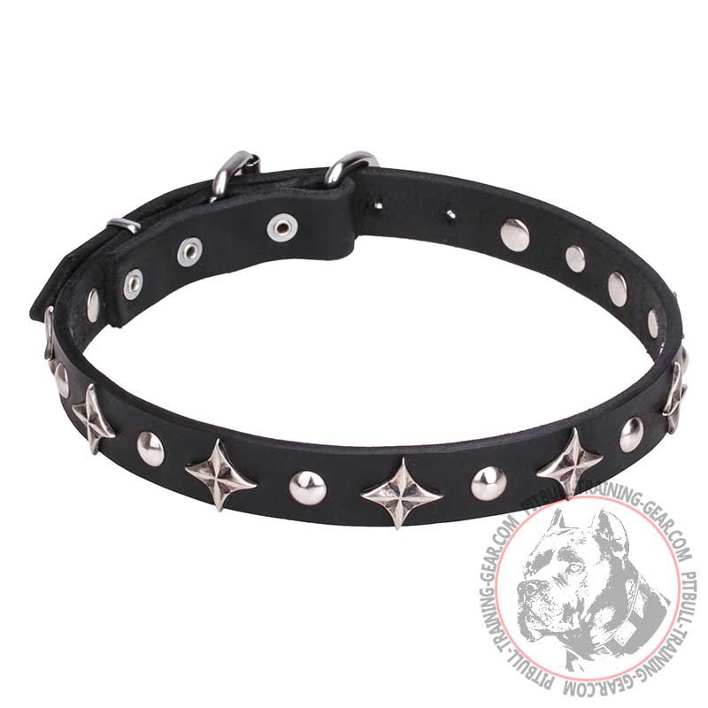 "Pleiades" 1 inch (25 mm) Pit Bull Dog Collar with Chrome Plated Fineries
