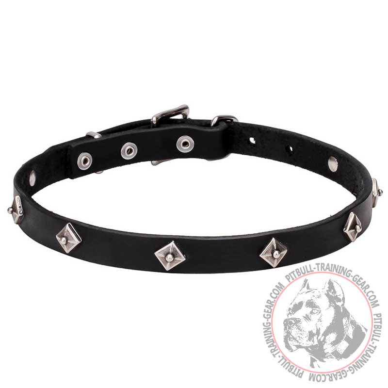'Cosmic Stars' Narrow Leather Pit Bull Terrier Dog Collar - 3/4 inch (20 mm) wide