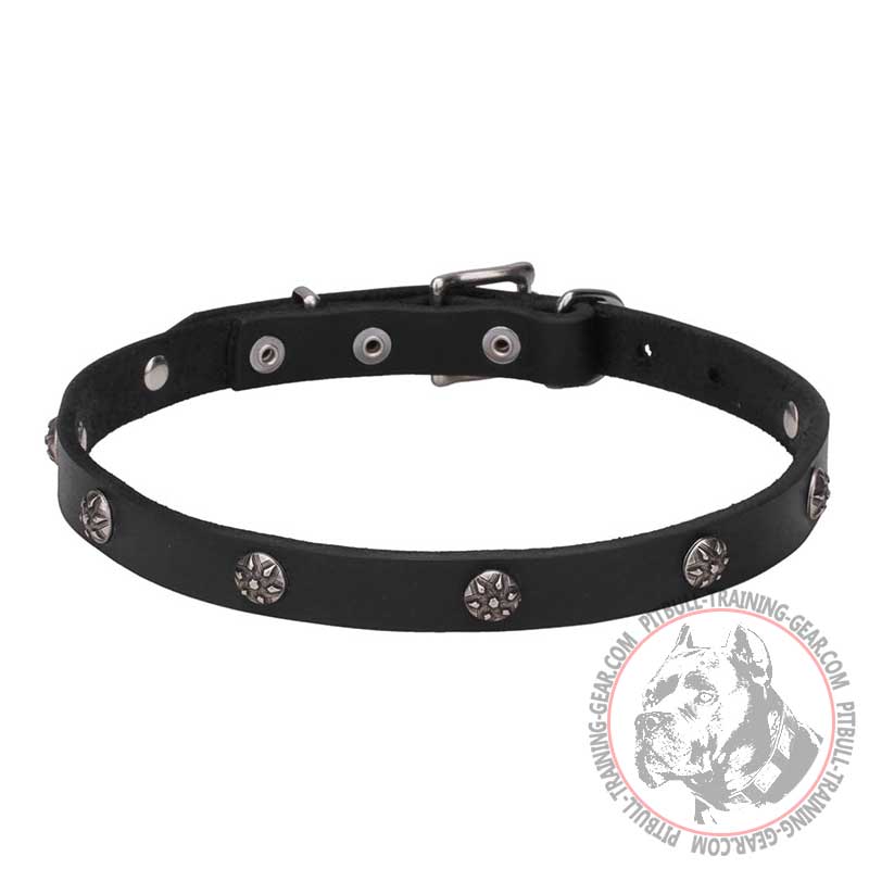 'Sparkling Beauty' Pit Bull Leather Dog Collar with Engraved Studs - 3/4 Inch (20 mm) wide
