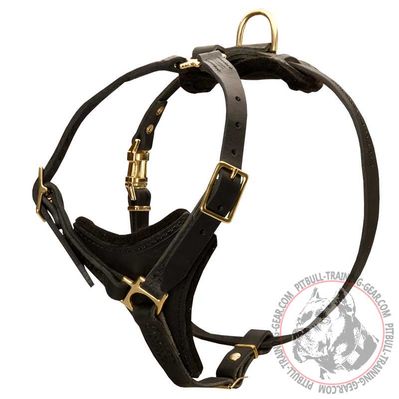 Reliable Padded Pitbull Leather Harness for Walking and Tracking