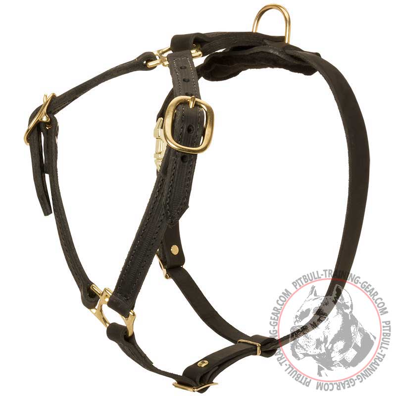 Luxury Leather Tracking/Walking Harness For Pitbull