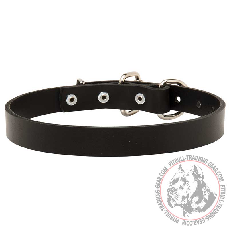 1 Inch Wide Leather Pitbull Collar With Steel Nickel Plated Hardware