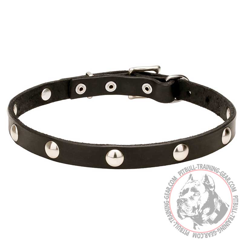 'Shiny Necklace' Trendy Design Pit Bull Leather Dog Collar - 3/4 Inch (20 mm) wide