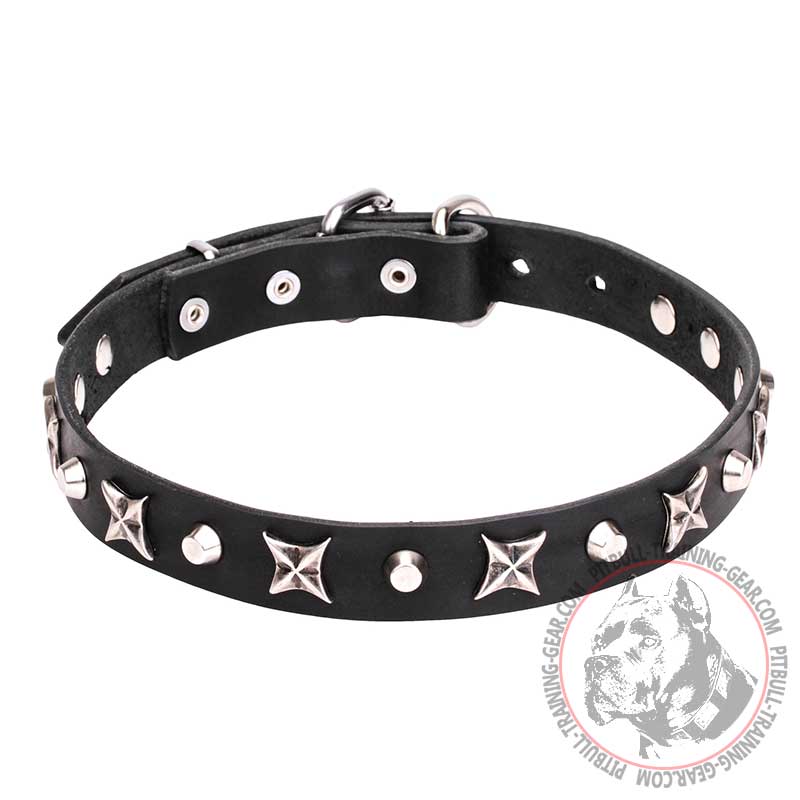 "Blazing Stars" 4/5 inch (25 mm) Decorated Pit Bull Leather Collar
