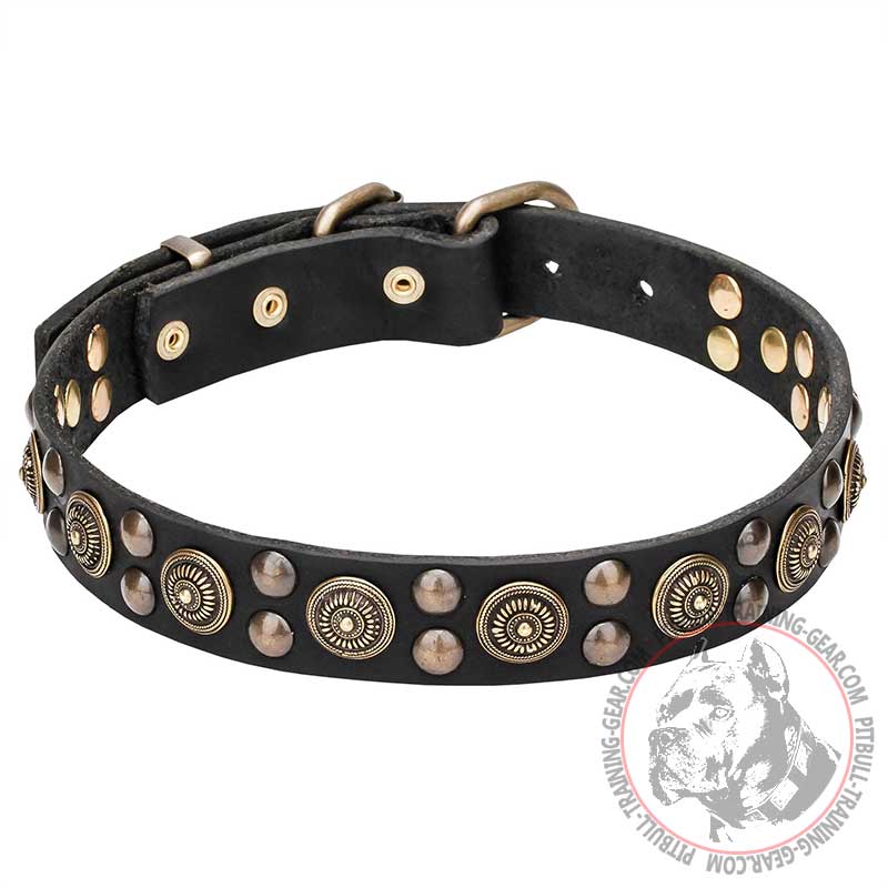 "Boho Style" Pit Bull Dog Collar with Rich Adornment - 1 1/4 inch (30 mm) wide