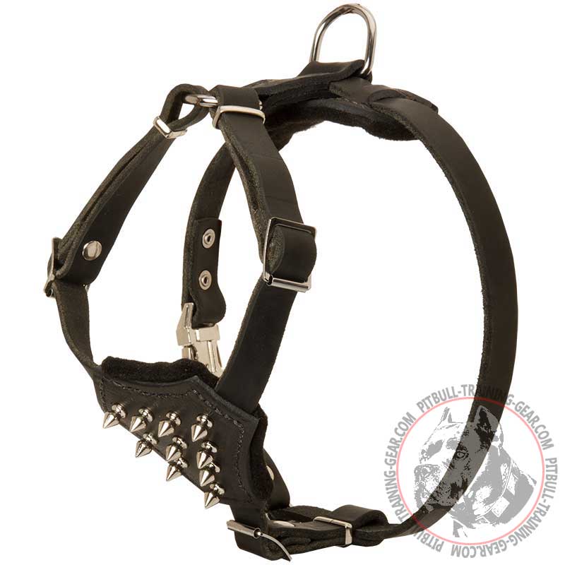 Fashionable Leather Pit Bull Puppy Harness with Spikes