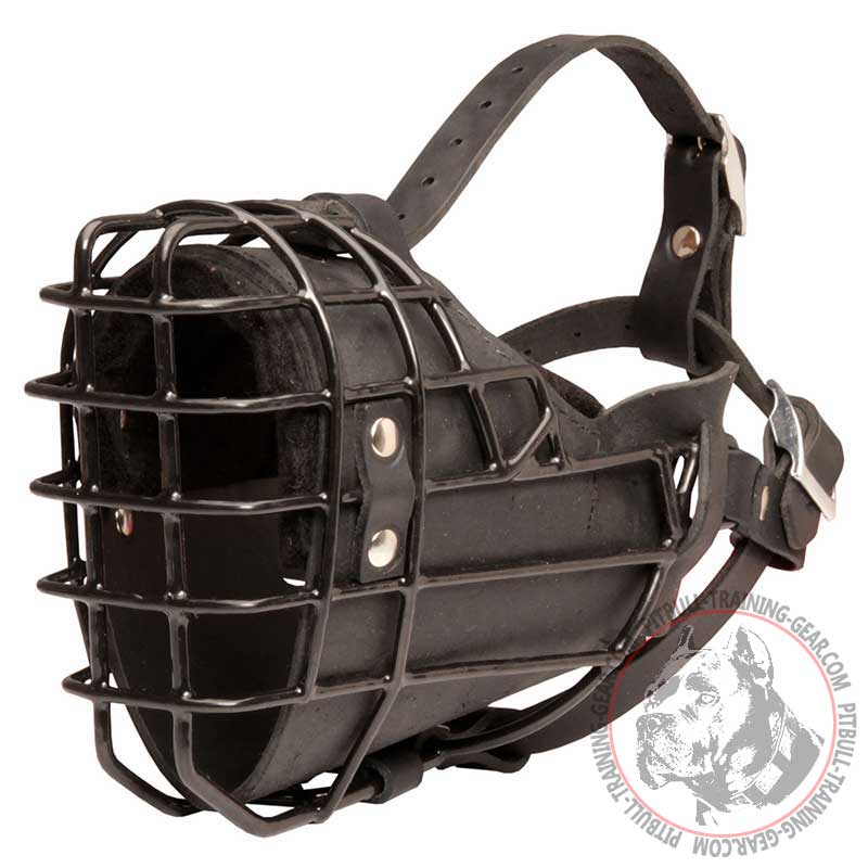 Black Rubber Covered Wire Cage Pit Bull Muzzle for winter activities - Click Image to Close