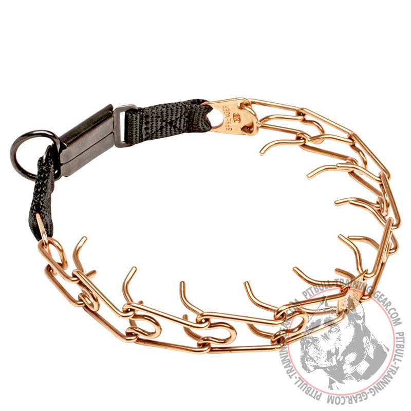 'Briar Patch' Pit Bull Curogan Dog Pinch Prong Collar