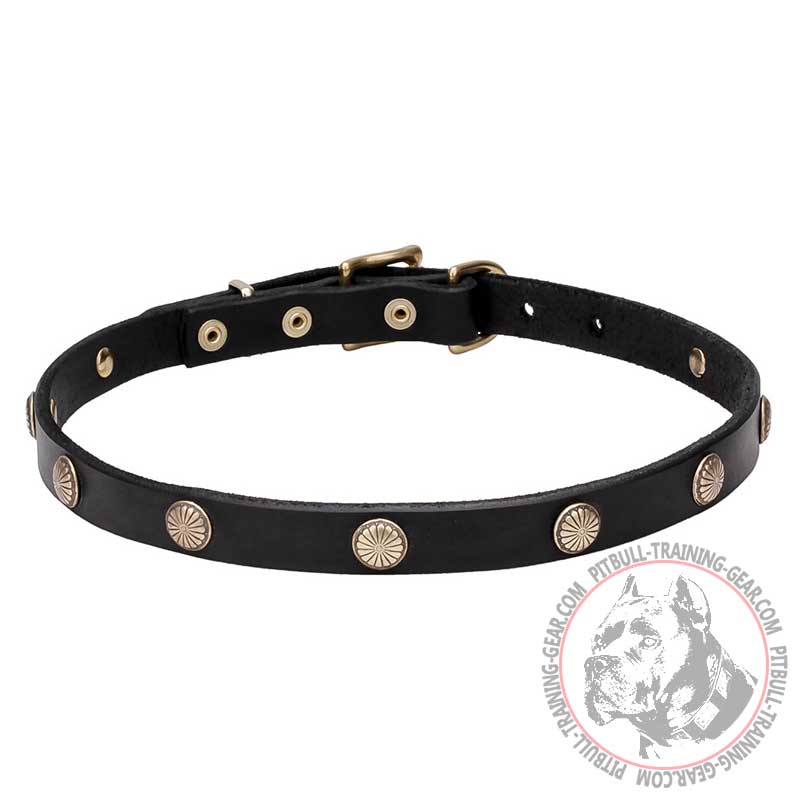 'Sunny Beams' Pit Bull Dog Collar with Beautifully Engraved Studs - 3/4 inch (20 mm) wide
