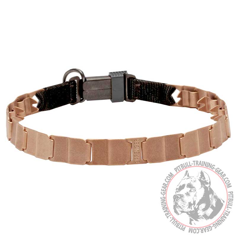 'Master' Neck Tech Dog Prong Collar for Pit Bull