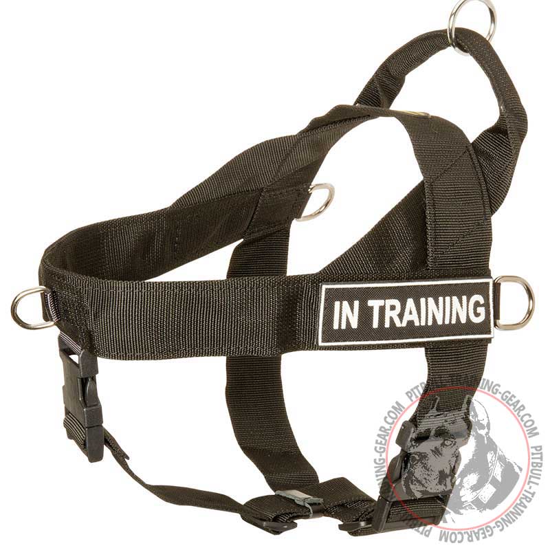 Practical Nylon Harness for SAR, Police, Servce Dogs and Training