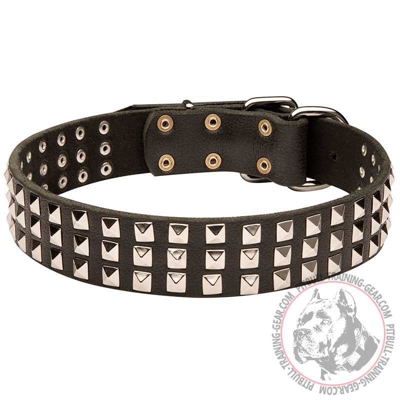 Decorated Leather Pitbull Collar with 3 Rows of Nickel Studs