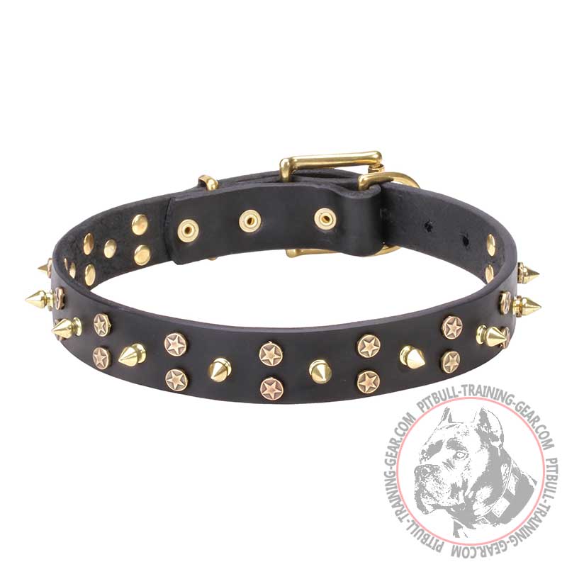 "Space Travel" 1 1/5 inch - 30 mm Leather Pitbull Collar with Brass Stars and Spikes
