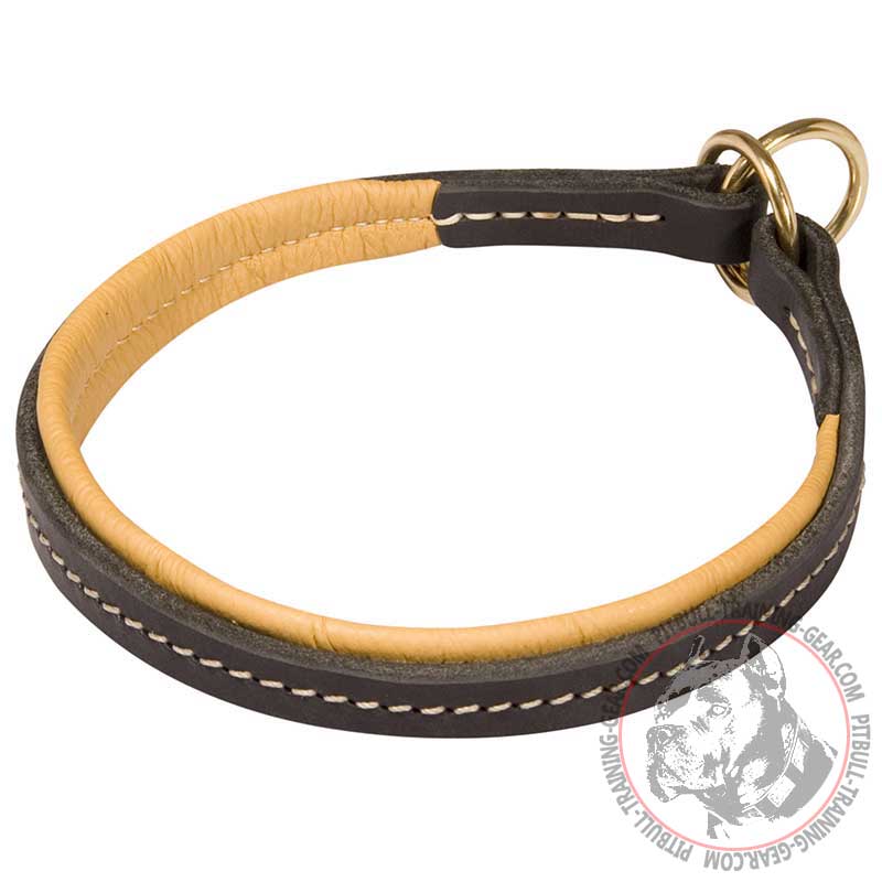 Stitched Leather Pitbull Choke Collar for Control Over Your Dog