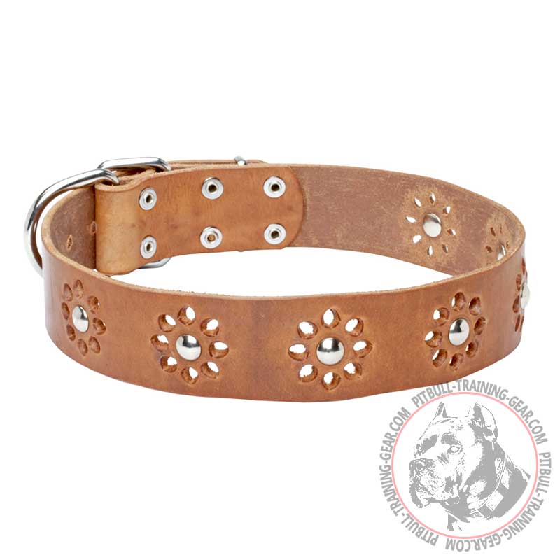 Genuine Leather Pitbull Collar with Flower Ornament
