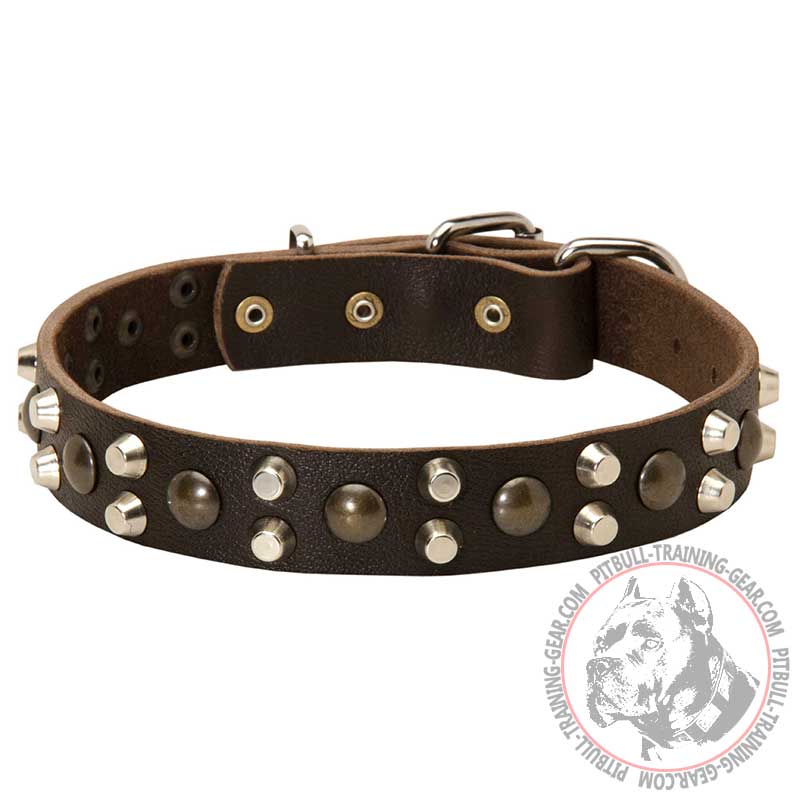Stylish Leather Pitbull Collar Decorated with Studs and Pyramids