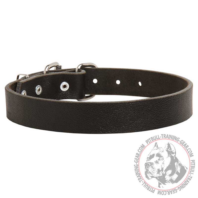 Durable Leather Pitbull Collar Multifunctional
