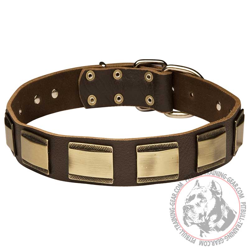 Designer Leather Pitbull Collar with Vintage Plates - Click Image to Close