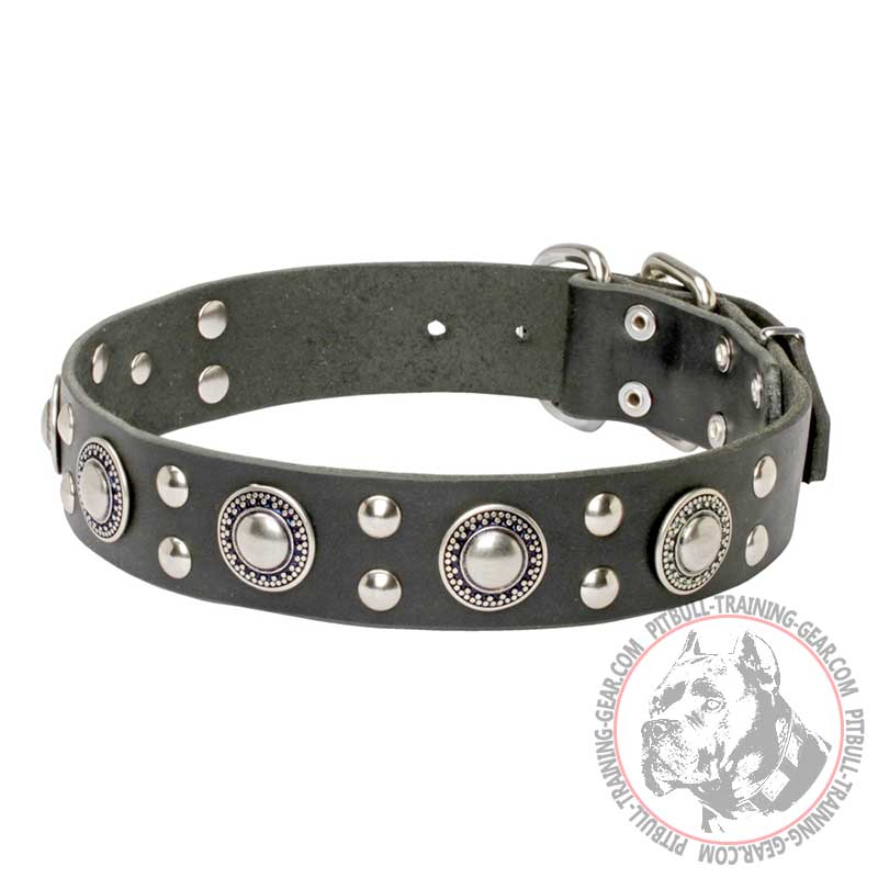 Leather Pitbull Collar with Mixed Nickel Decorations