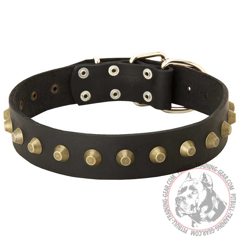 Wide Leather Pitbull Collar with Exclusive Decoration