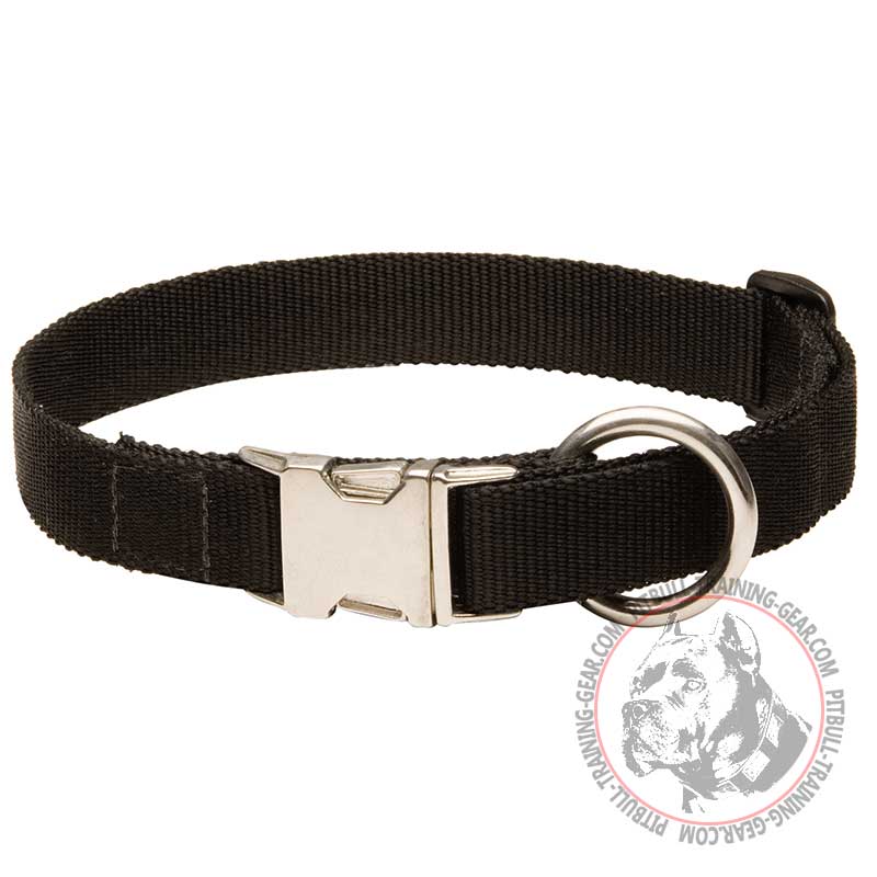 High-quality Adjustable Nylon Pitbull Collar for Training and Walking