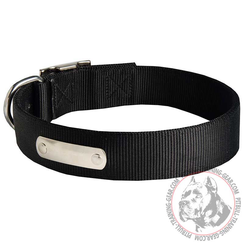 Strong Nylon Pit Bull Collar for Walking and Training with ID Tag