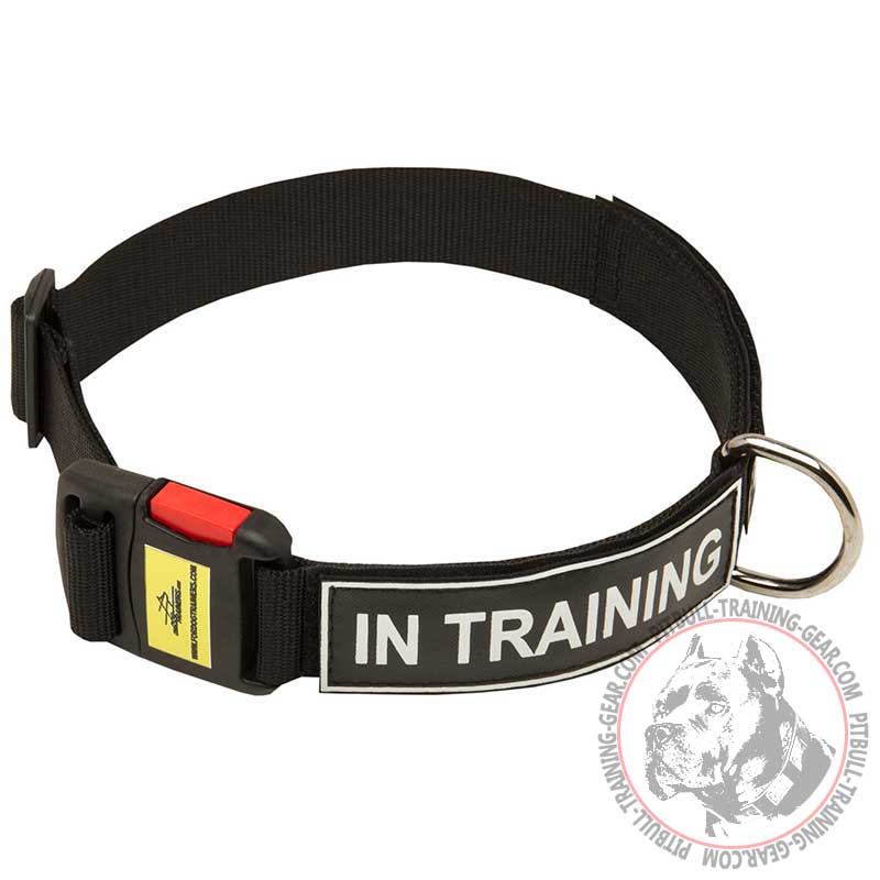 Adjustable Nylon Pitbull Collar with Easy Quick Buckle and ID Patches