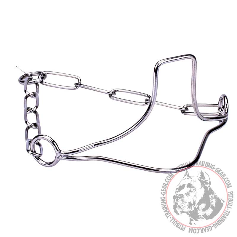 'Winner's Pride' Pitbull Dog Show Collar with Fur Saving Links - 1/9 inch (3 mm) link diameter