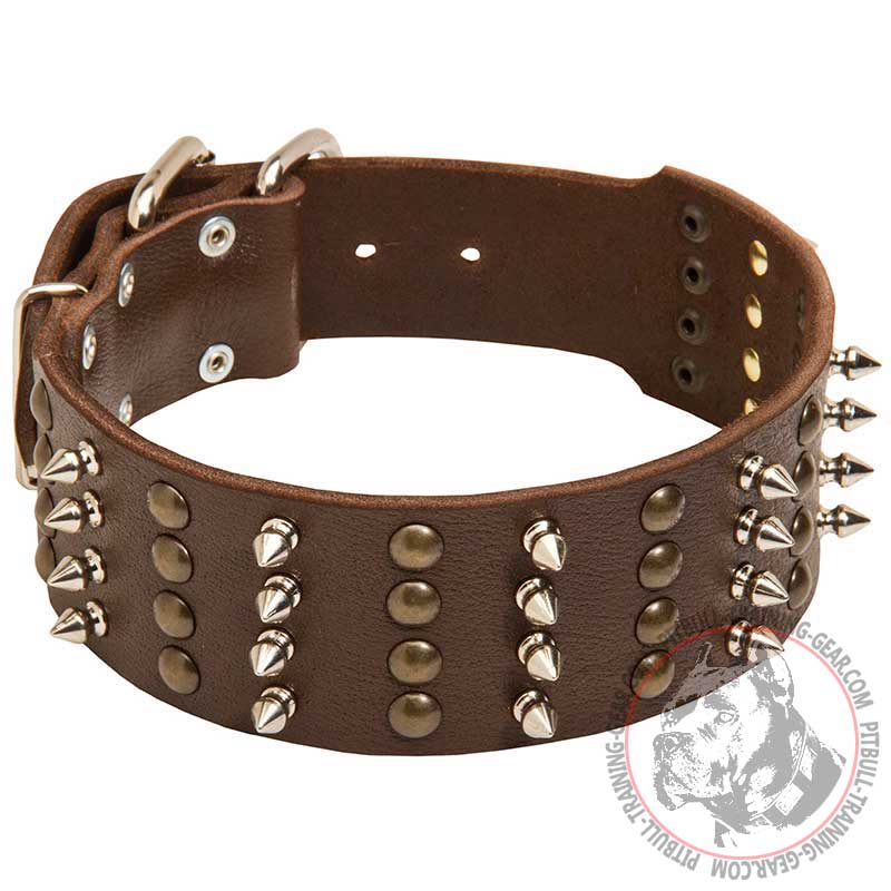 2 inch wide Spiked and Studded Pitbull Collar