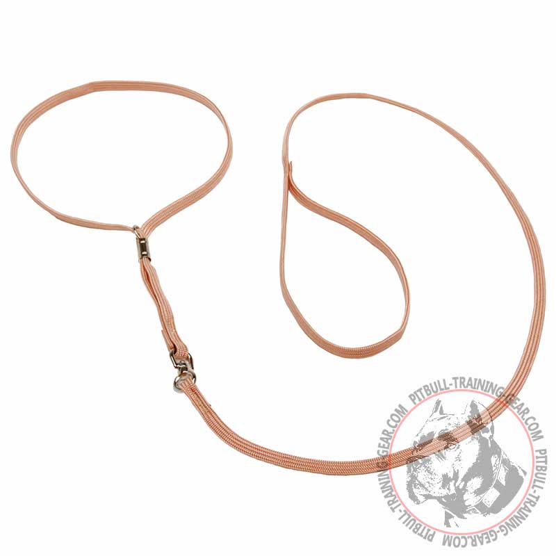 Pitbull 'Champion' Nylon Collar & Lead Combo