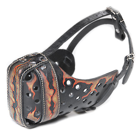 Pitbull muzzle shop