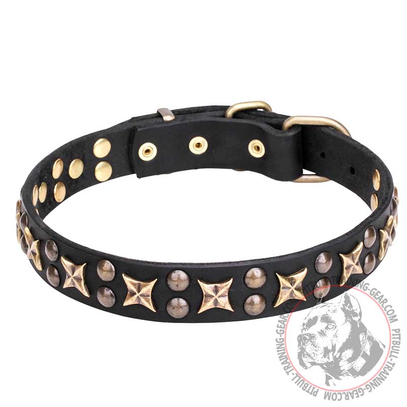 "Vintage Legacy" 1 1/4 inch (30 mm) Pit Bull Dog Collar Decorated
