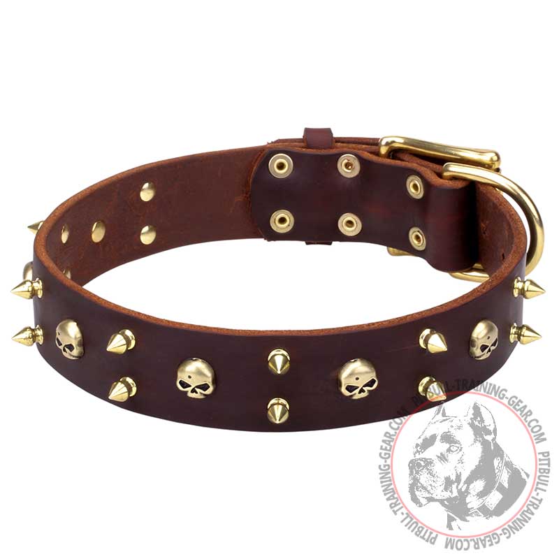 'Hard Rock' Pitbull Leather Dog Collar with Brass Skulls and Spikes - 1 3/5 inch (40 mm) wide