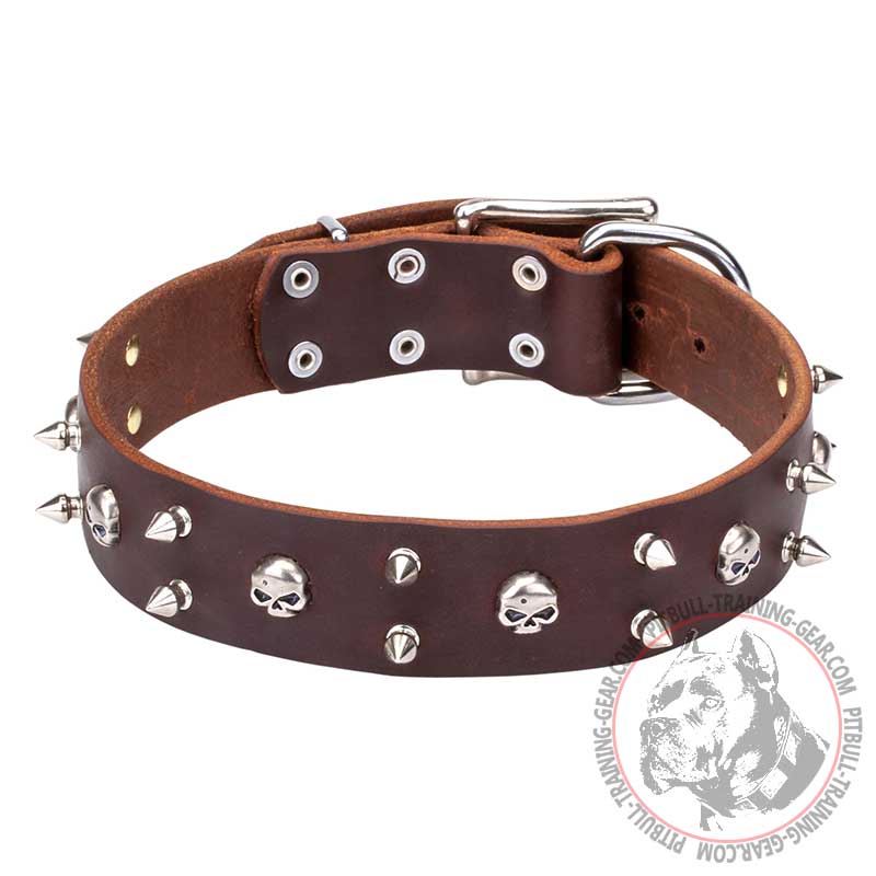 'Blackbeard' 1 3/5 inch (40 mm) Wide Leather Pitbull Dog Collar with Skulls and Spikes