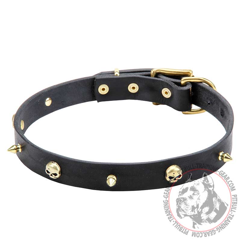 'Rock the Goth' Leather Pitbull Collar with Brass Skulls and Spikes - 1 inch (25 mm) wide