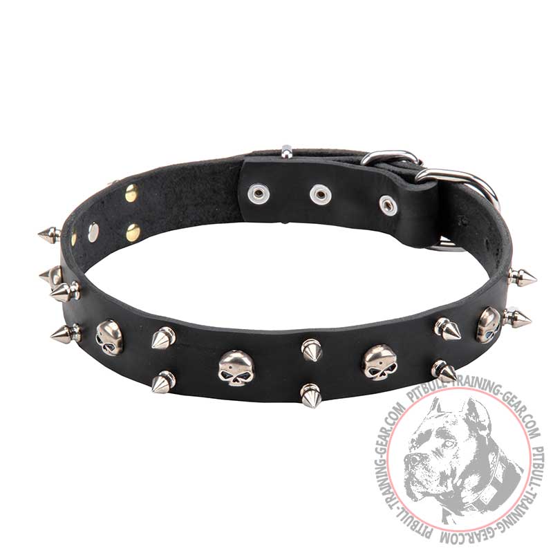 'Jolly Roger' Leather Pitbull Collar with Skulls and Two Rows of Spikes - 1 1/10 inch (30 mm) wide