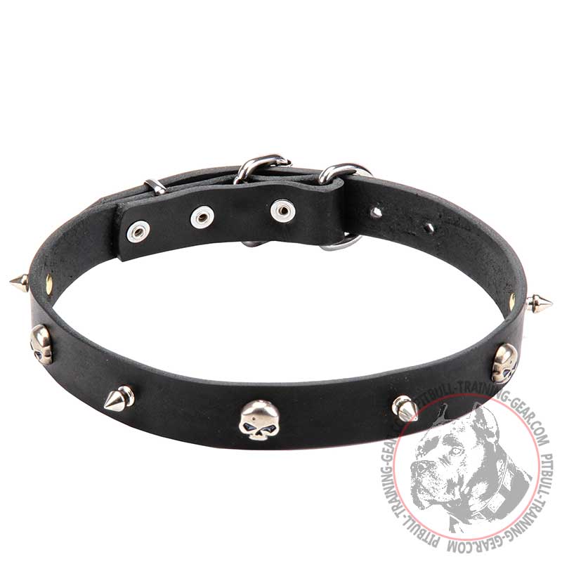 'Pirate' Leather Pitbull Collar with Decorative Skulls and Spikes - 1 inch (25 mm) wide - Click Image to Close