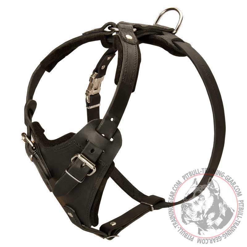 Terrain D.O.G Oiled Harness Leather Hybrid Dog Collar