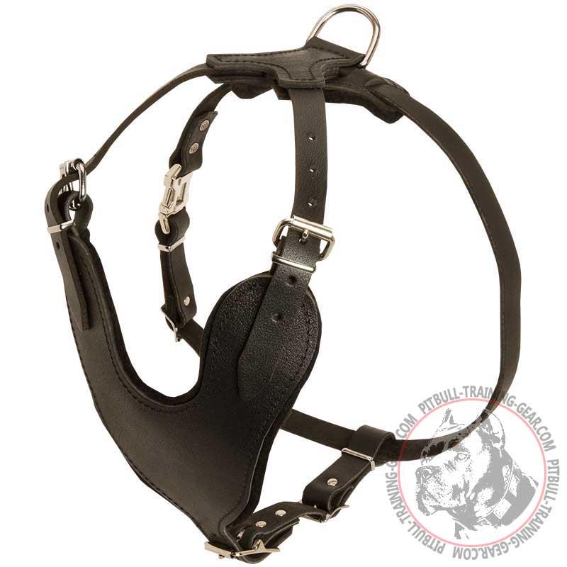 Leather Training Pit Bull Harness with Y-shaped Breast Plate