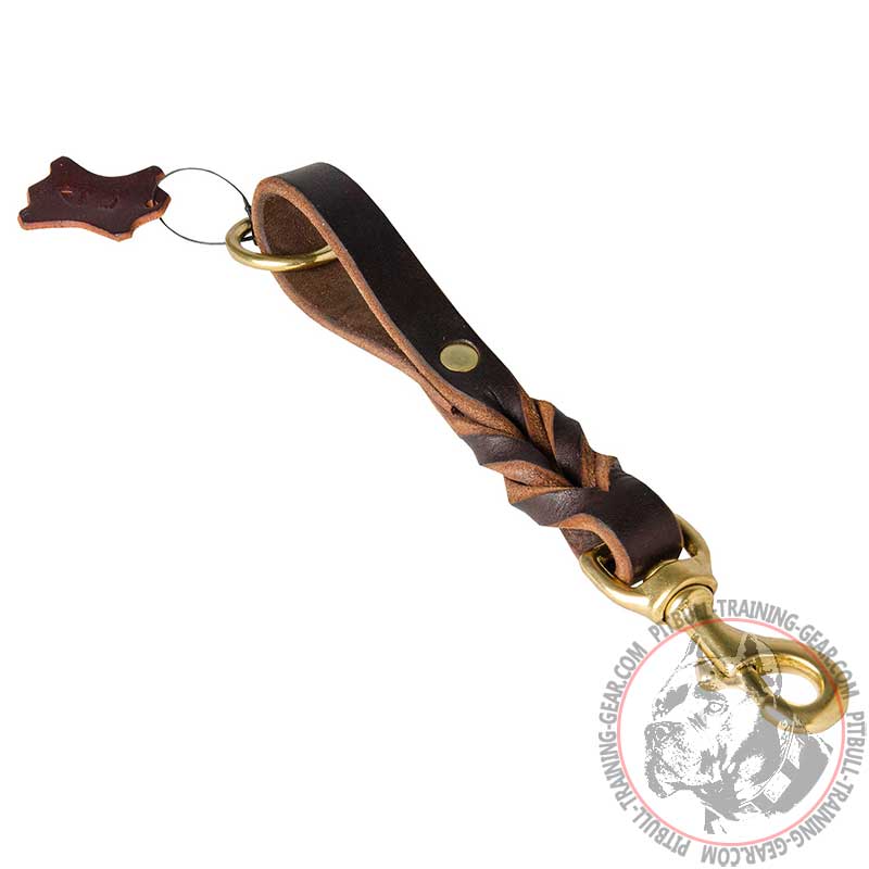 Gorgeous Short Braided Leather Dog Leash for Pitbull