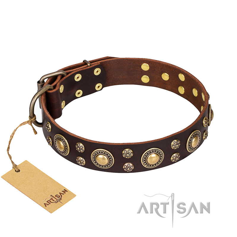 'Flower Melody' FDT Artisan Brown Leather Pitbull Collar with Mixed Studs
