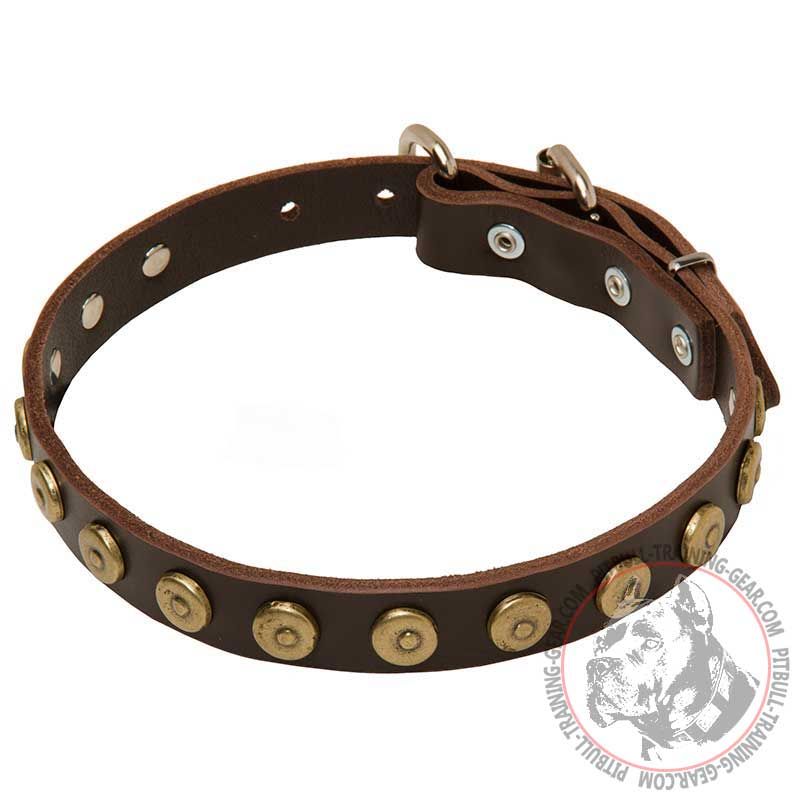 Designer Leather Pit Bull Collar With Dotted Brass Circles - Click Image to Close