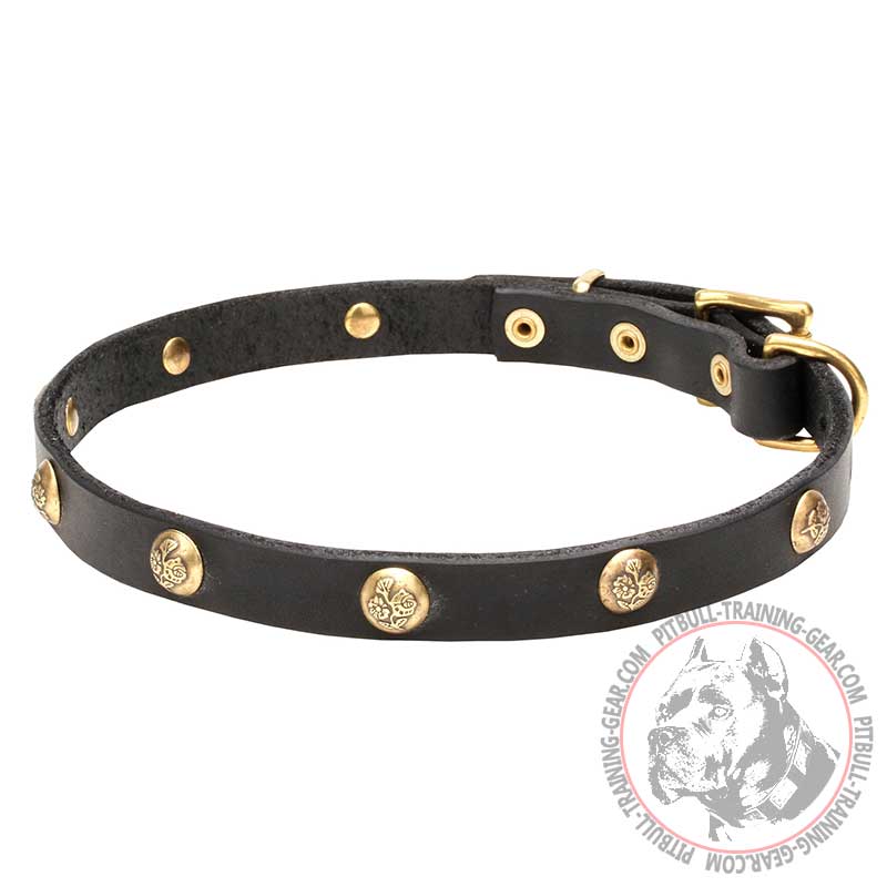'Stamped Studs' Leather Pitbull Collar with Brass Hardware - 4/5 inch (20 mm)