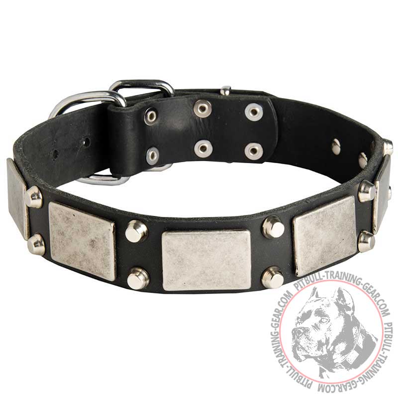 Fashion War Leather Pitbull Collar with 2 Pyramids and Plate Adornment