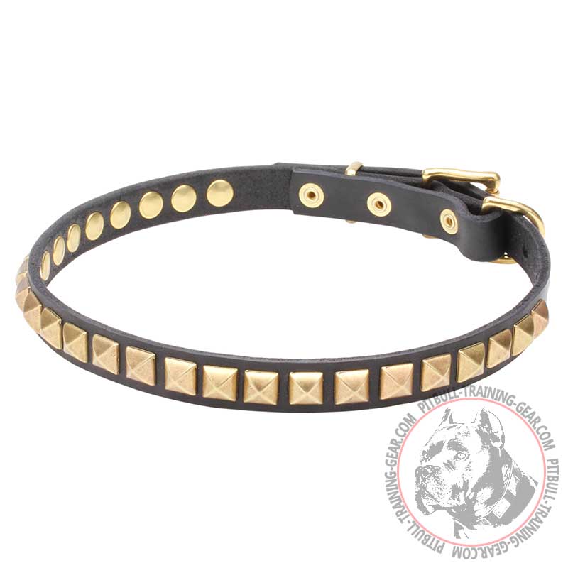 'Necklace-like' Pit Bull Dog Collar with Shining Studs - 4/5 inch (20 mm) wide